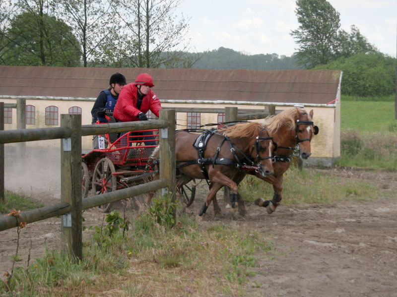 20080615_130702_0015