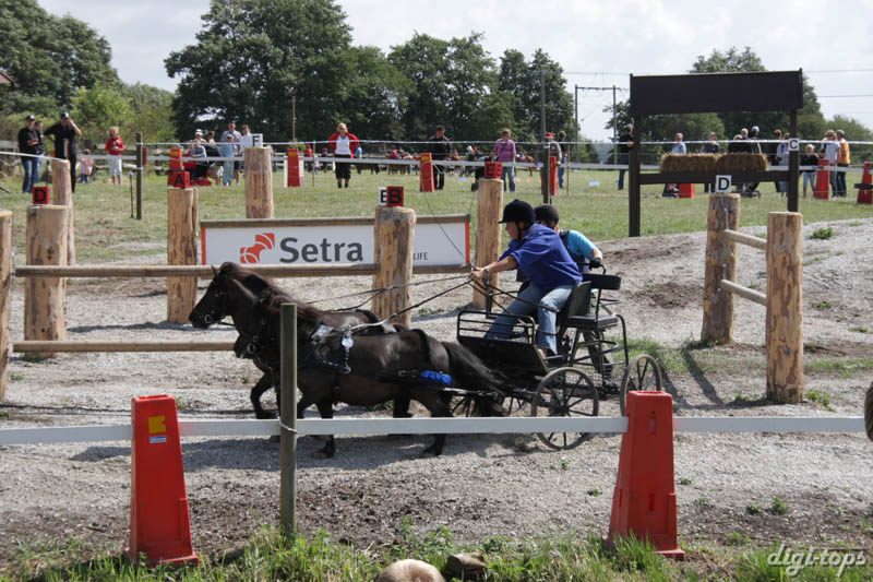 20080809_120746_0002