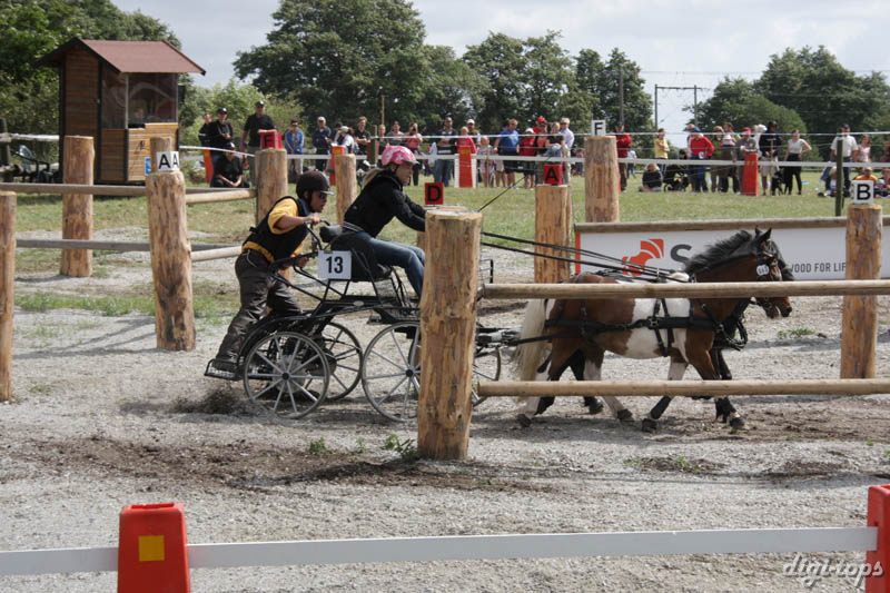 20080809_121636_0008 Camilla Arthursson Billingens Distansridklubb