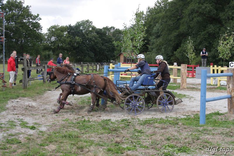 20080809_123908_0049 Rebecca Kristiansson Billingens Distansridklubb