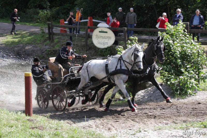 20080809_143810_0166 Hans-Henrik M Nielsen Danmark