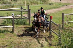 20080809_134256_0111 Gerti Hylt Laholmsortens LRF