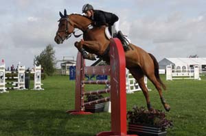 20080828_094702_0046 Felix Malmborg Electrika