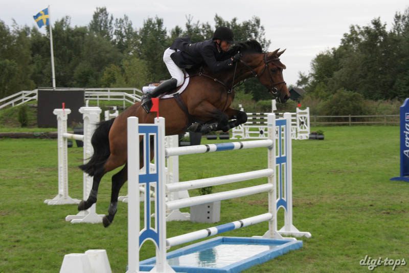 20080828_162810_0039 Jens Fredricson Lunatic