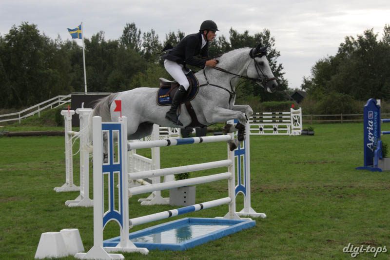 20080828_171406_0294 Henrik Ankarcrona Etrusco