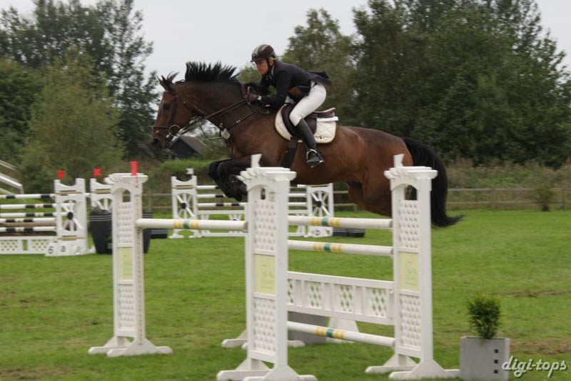 20080828_173718_0414 Pia Levin Cupol