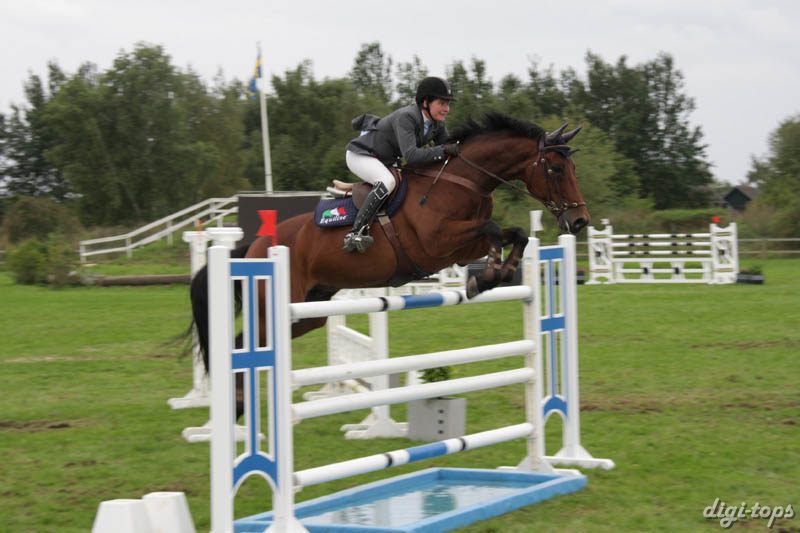 20080828_180234_0559 Helena Persson Carambole