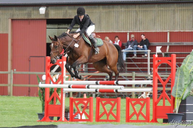 20080828_124208_0047 Sandra Liljegren Blue Belle