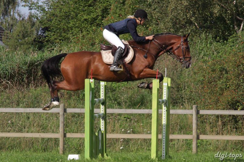 20080829_094358_0037 Eleonor Bellander Diamond