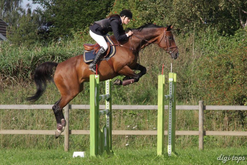 20080829_094608_0047 Sandra Simm Babusjka