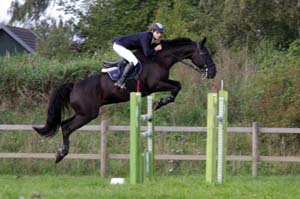 20080829_101648_0154 Niklas Johannesson Figaro