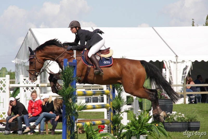 20080829_125036_0582 Sara Molvidson Chocolat