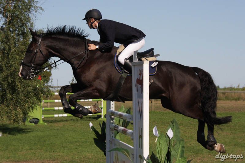 20080830_101402_0076 Niklas Johanesson Figaro