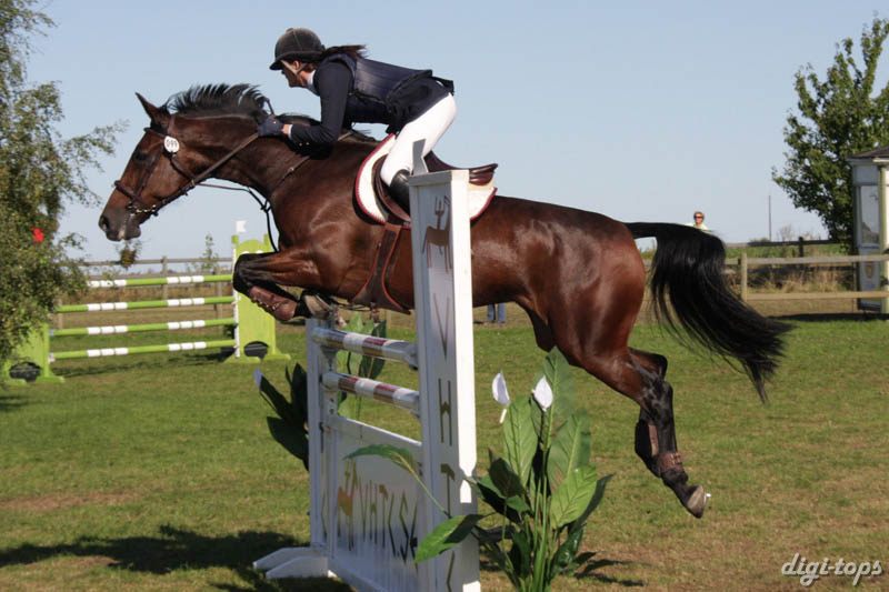 20080830_101532_0081 Carolina Kullman Miranda Marcos