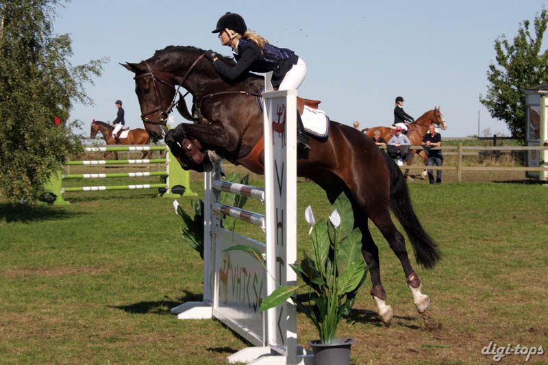 20080830_110046_0327 Sarah Lindberg Dexter