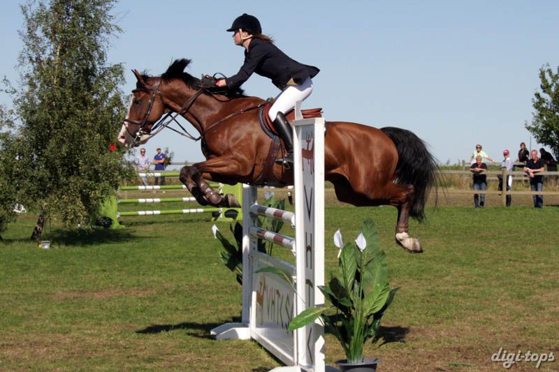 20080830_111554_0429 Rebecca Lindberg Limited Edition