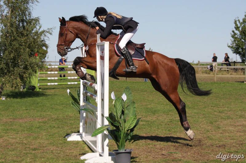 20080830_111722_0442 Mikaela Zimdahl Saturnus