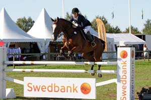 20080830_102656_0141 Eleonor Bellander Diamond