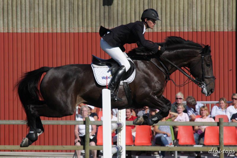 20080830_155440_1009 Fredrik Spetz Felici