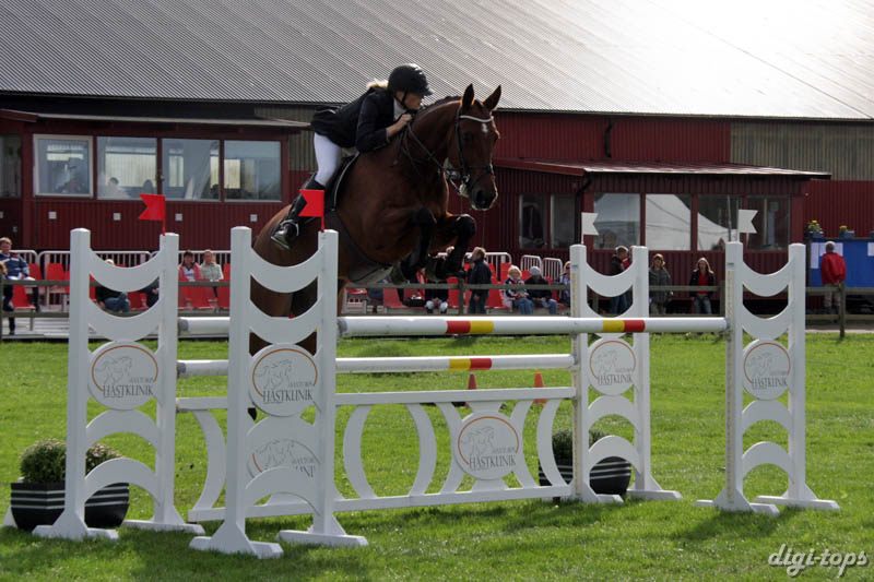 a20080828_100726_0103 Sandra Fransson Gallahad