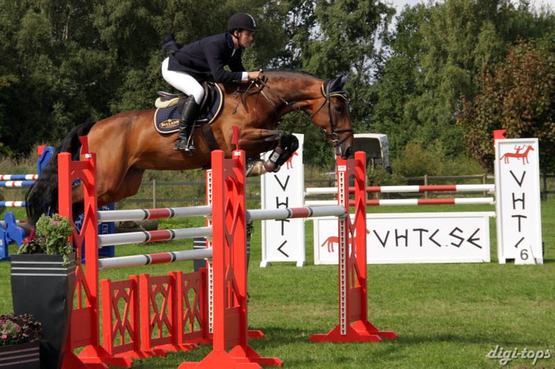 a20080829_124206_0550 Fredrik Linell Panthalassa