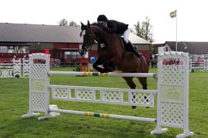 a20080828_100620_0100 Lisa Olsson Pasadena