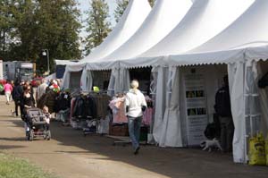 b20080829_152344_0873