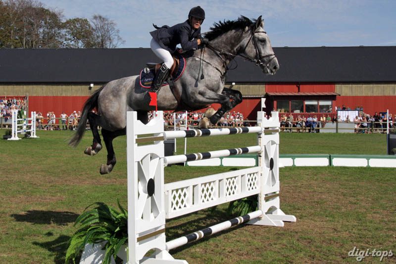 20080831_153624_0040 Piia Pantsu Chauvinist Z