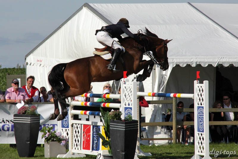 20080831_161358_0323 Henrik Lanner Richmond W