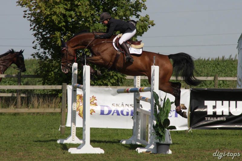 20080831_120326_0027 Sara Molvidson Chocolat