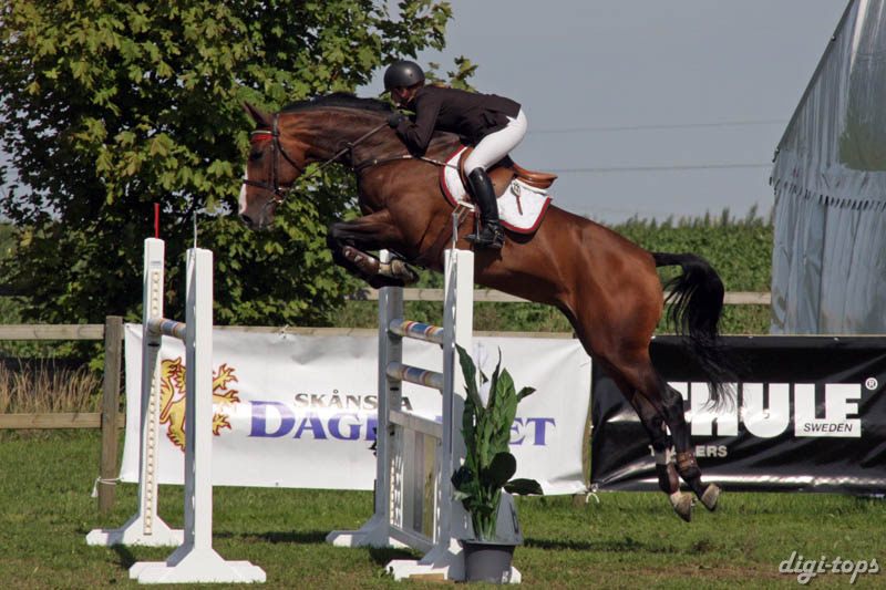 20080831_121140_0065 Elin Hultberg Midsummer