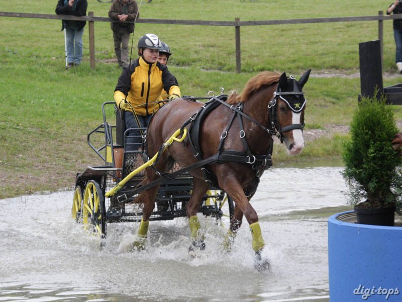 20080920_114658_0028 Kristina Klindt den