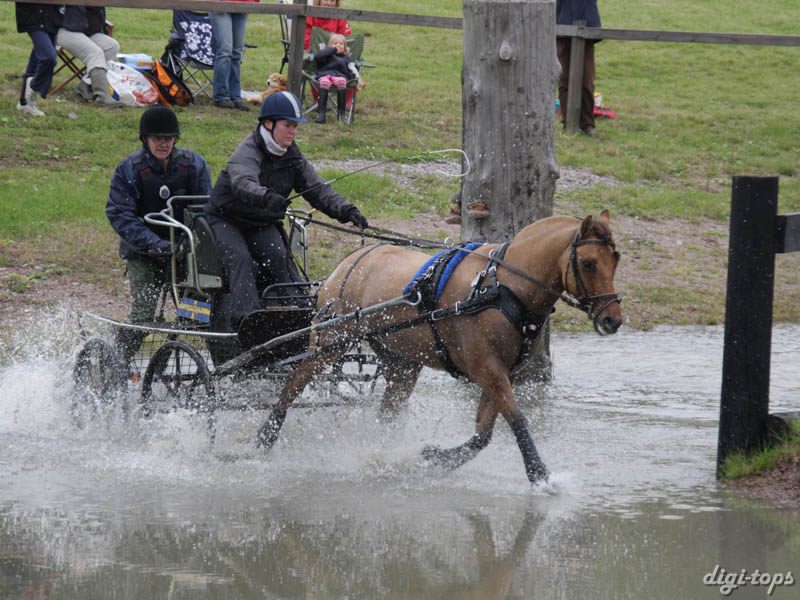 20080920_114948_0030 Susanne Ankermark swe