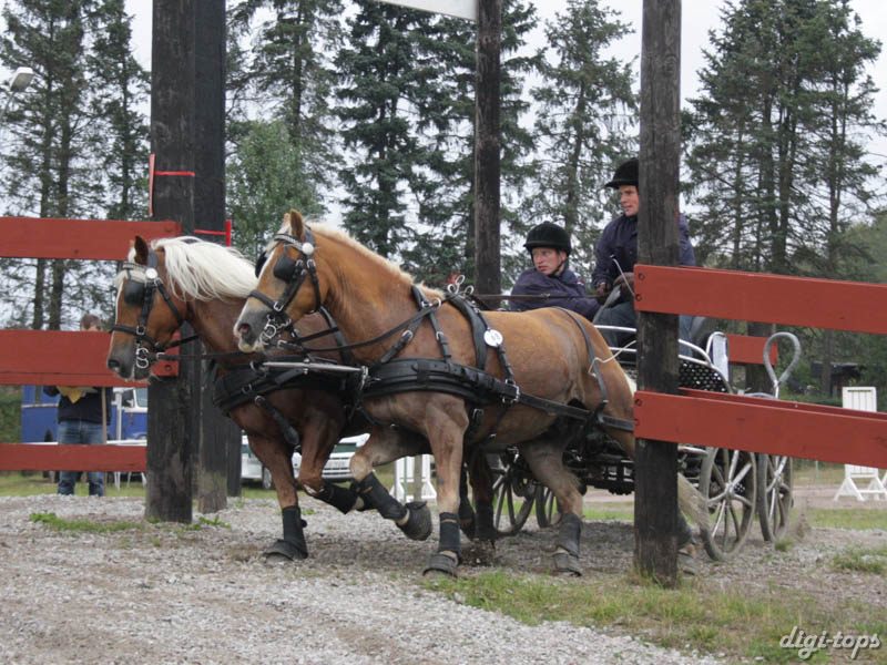 20080920_130002_0057 Lars Dau den