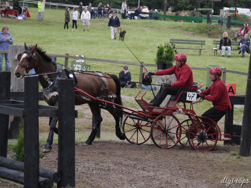20080920_140604_0129 Magnus Kronberg swe