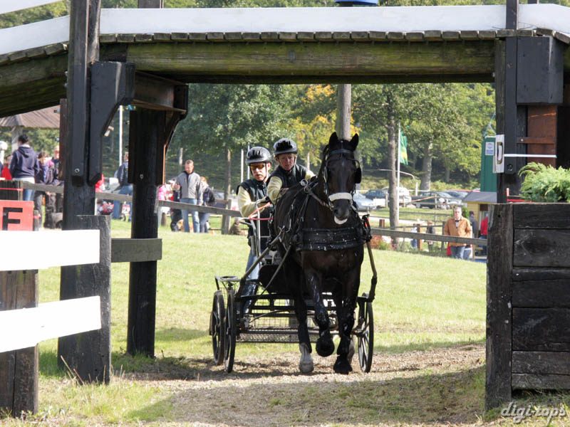 20080920_145130_0192 Gertie Viebke swe