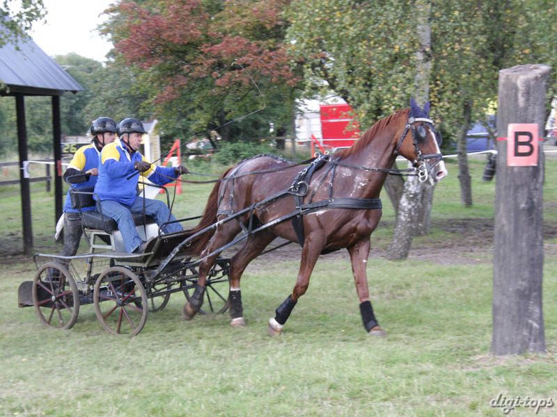 20080920_145412_0198 Knut Andersson swe