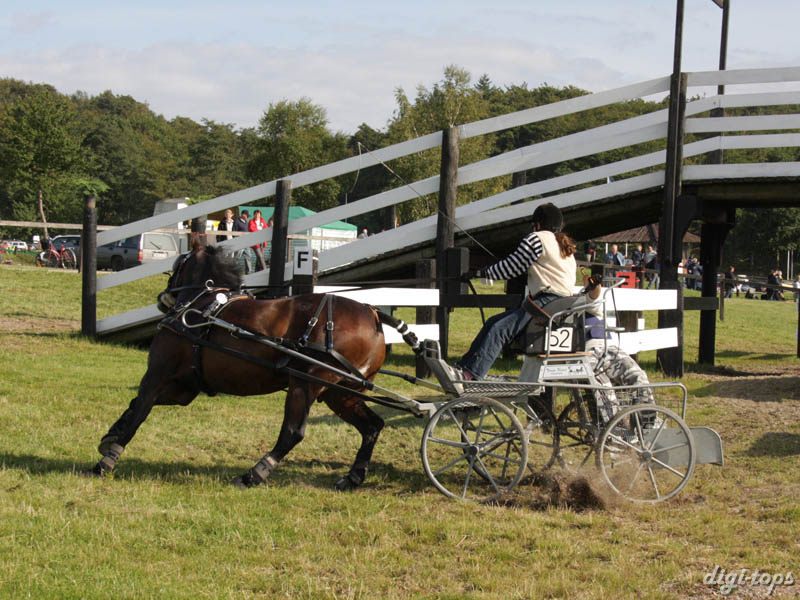 20080920_150138_0213 Jenny Steen swe