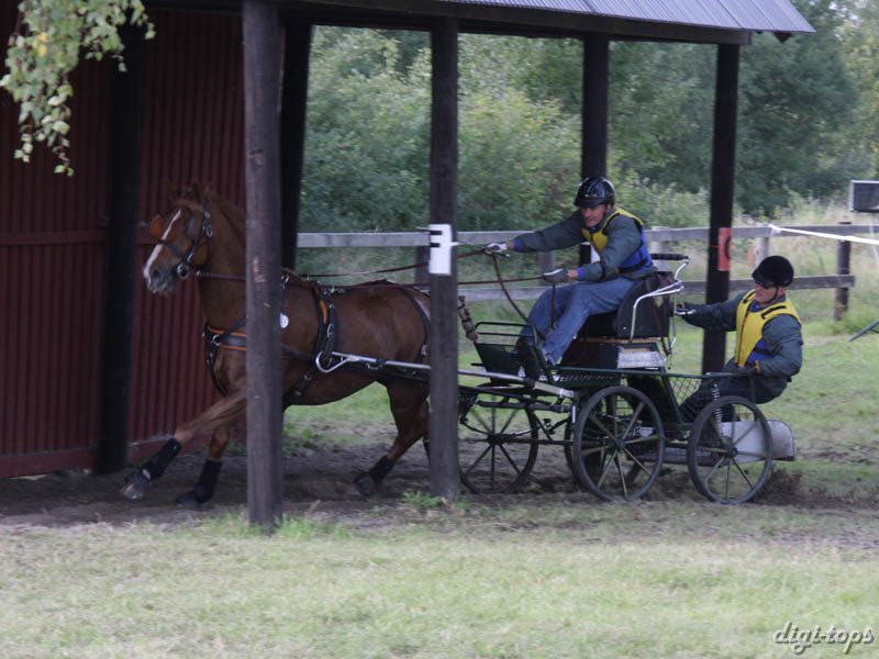 20080920_150706_0225 Peter Andreasson swe