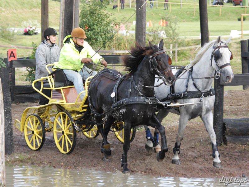 20080920_155836_0375 Jan-Erik Andreasson swe