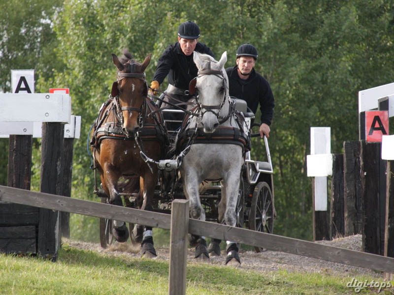 20080920_161034_0436 Finn Qvist den