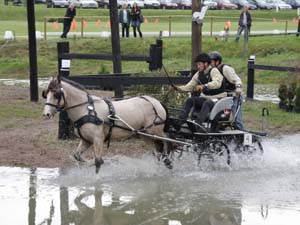 20080920_113424_0011 Peter Koux den