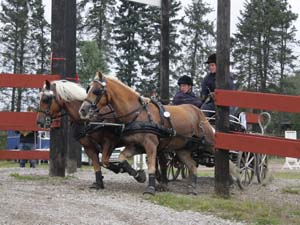 20080920_130002_0057 Lars Dau den