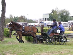 20080920_130448_0064 Ewa Noven swe