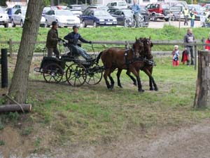 20080920_132228_0074 Catharina Eneroth swe