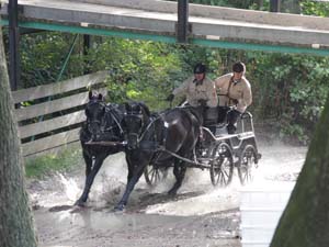 20080920_155428_0362 Peter Chr Jespersen den