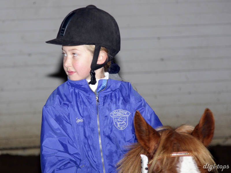 20081109_122210_0035