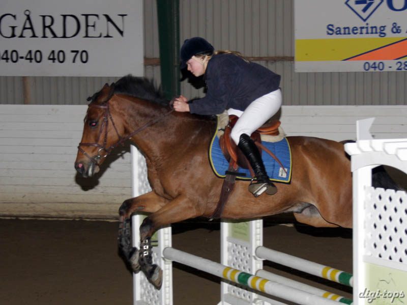 20081109_130506_0066 Petronella Runsteen Sprighty Abloom