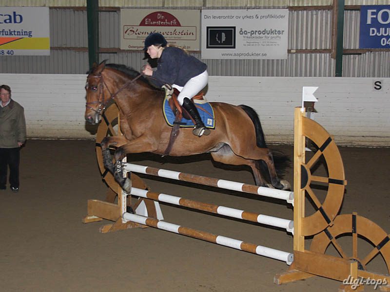 20081109_130528_0068 Petronella Runsteen Sprighty Abloom