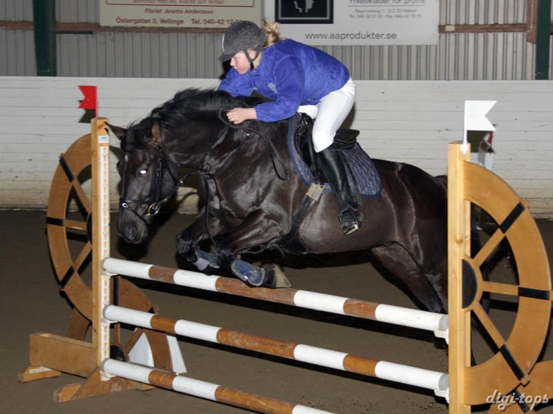 20081109_130722_0073 Martina Wollert Fabiola